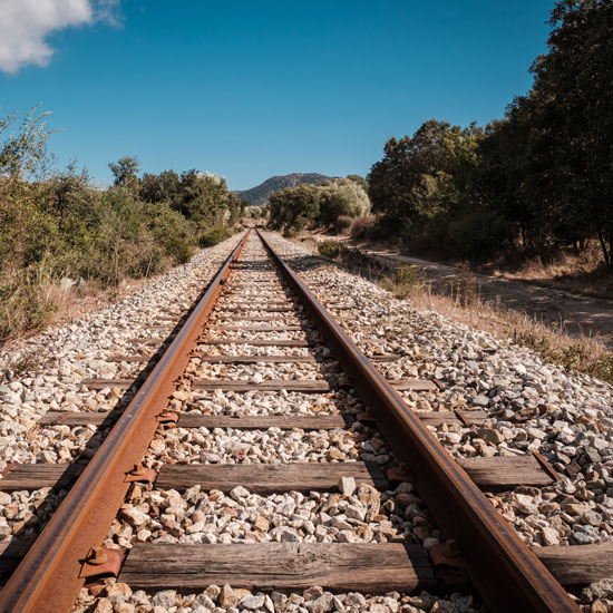   L’industrie au secours de l’olivier dès le XVIIe siècle 